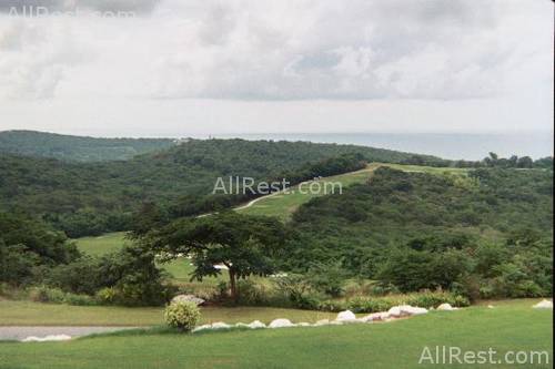 Ritz-Carlton Golf & Spa Resort 137